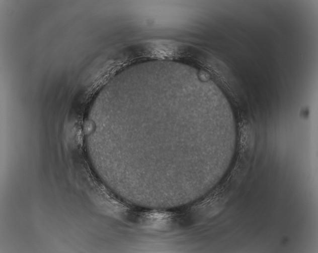 X0000115620313200912011621