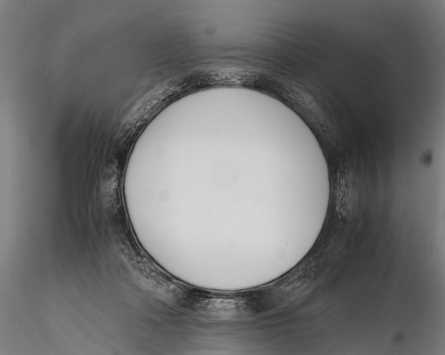 X0000115620314200912011621