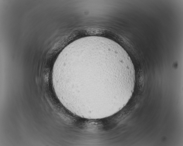 X0000115620315200912011620