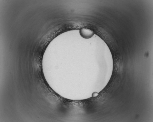 X0000115620317200912011620