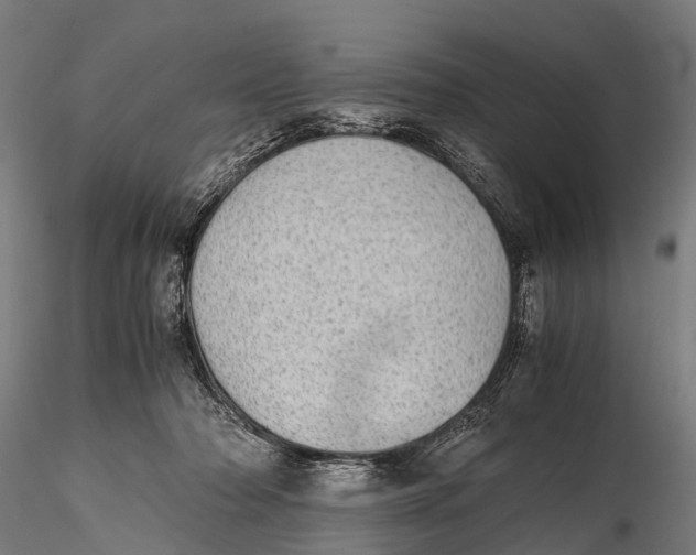 X0000115620318200912011620