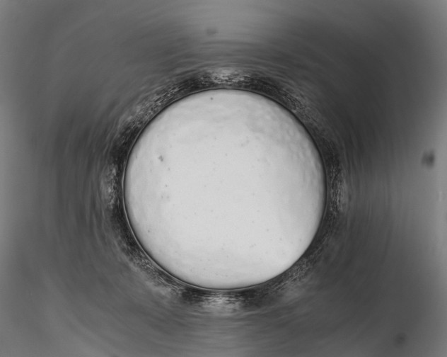 X0000115620319200912011620