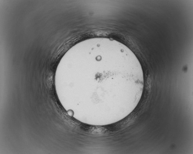 X0000115620321200912011620