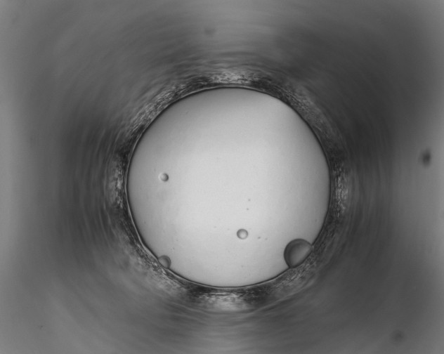 X0000115620322200912011620