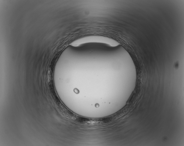 X0000115620323200912011620