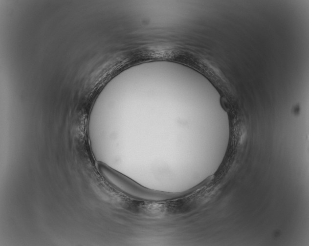 X0000115620325200912011620