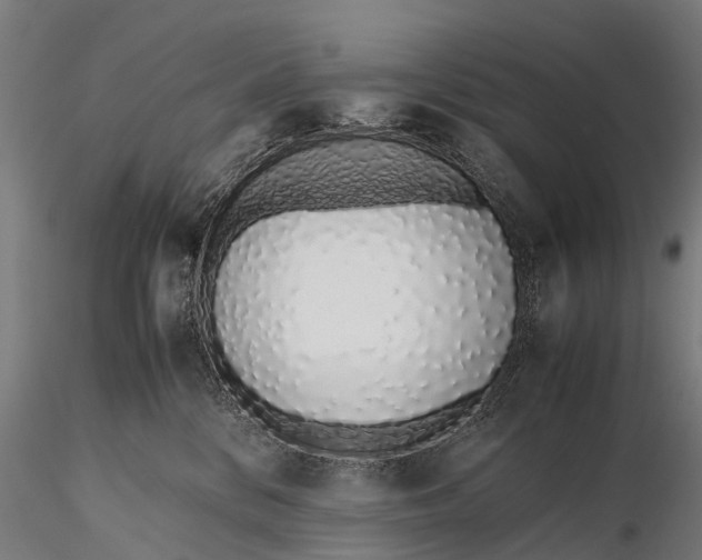 X0000115620328200912011620