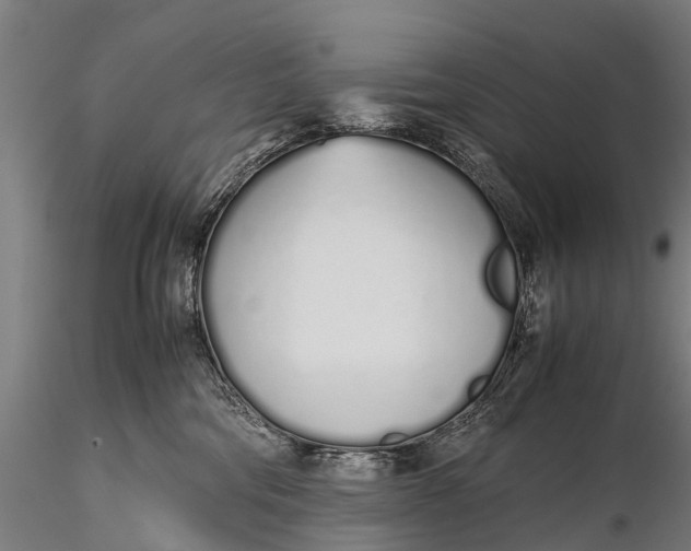 X0000115620330200912011620