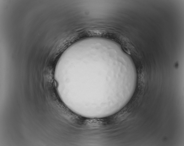 X0000115620331200912011620