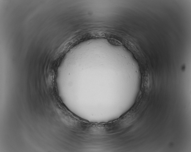 X0000115620332200912011620