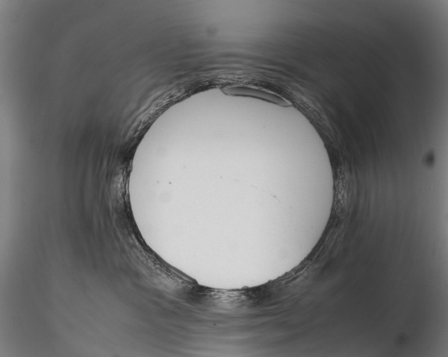 X0000115620333200912011620