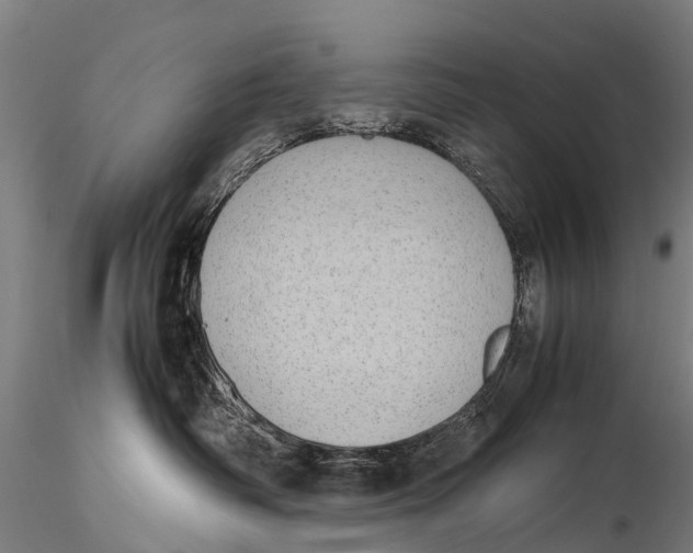 X0000115620334200912011620