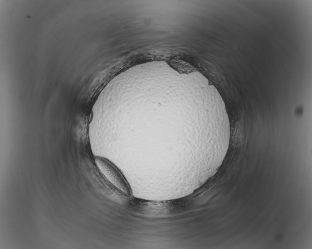 X0000115620335200912011620