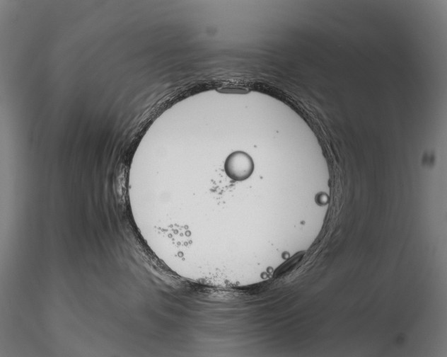 X0000115620336200912011620