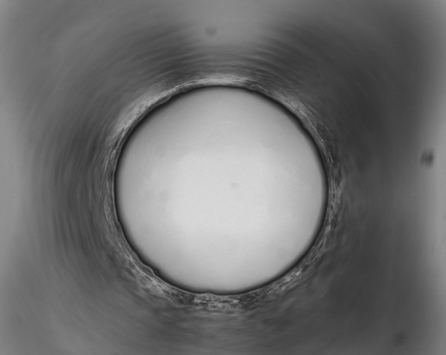 X0000115620337200912011620