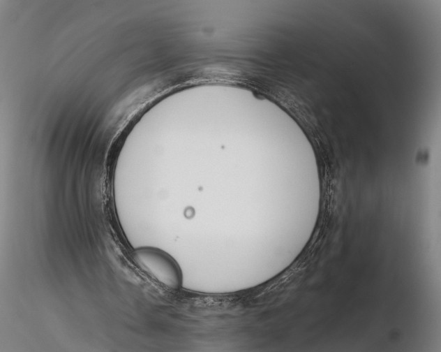 X0000115620338200912011620