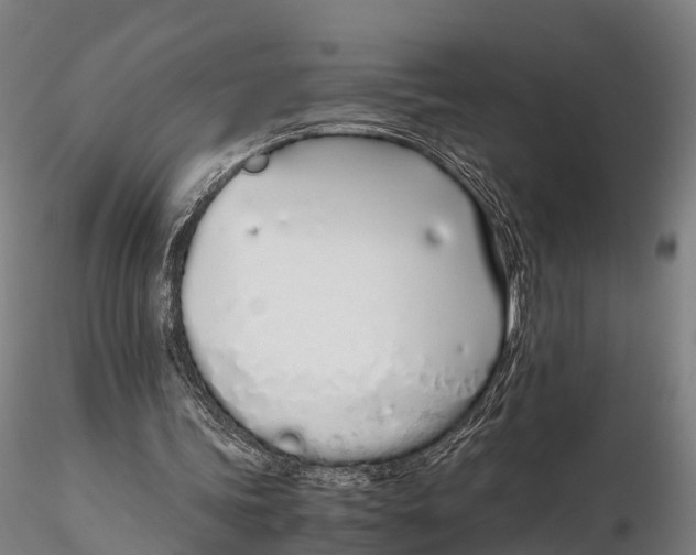 X0000115620339200912011620