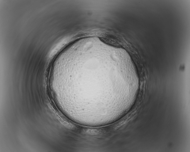 X0000115620341200912011620