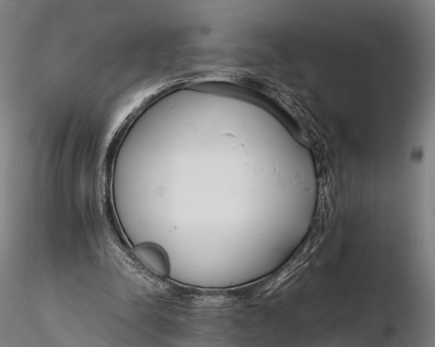 X0000115620342200912011620