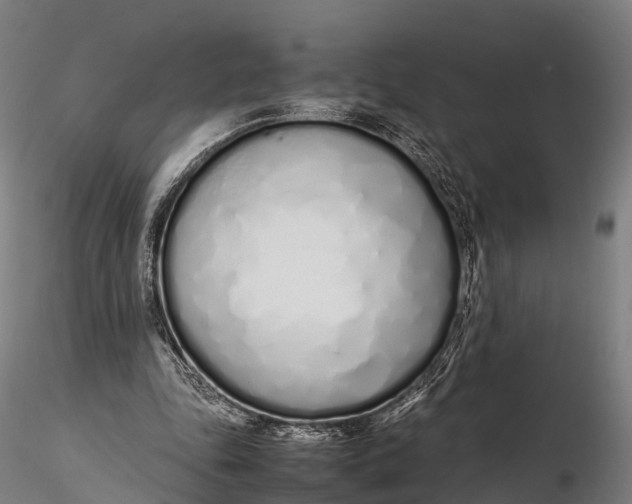 X0000115620343200912011620