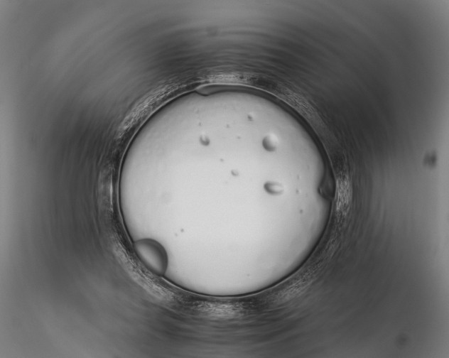 X0000115620349200912011620