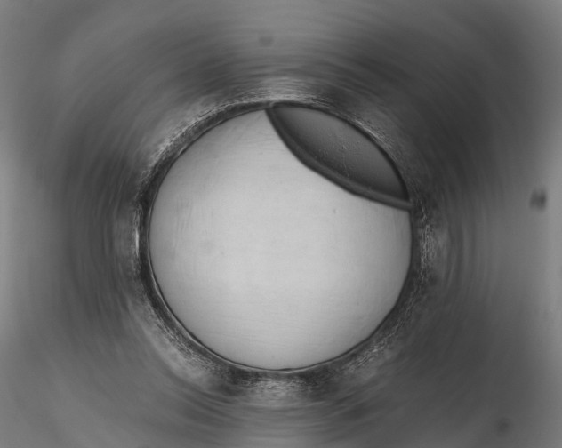 X0000115620350200912011620