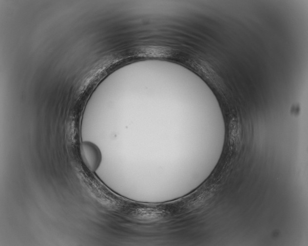 X0000115620351200912011620