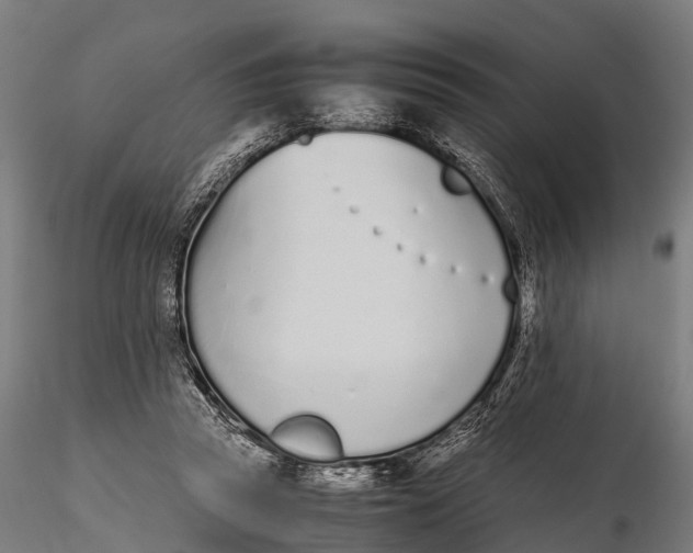 X0000115620353200912011620