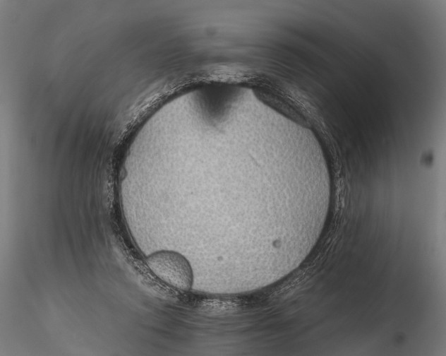 X0000115620354200912011620