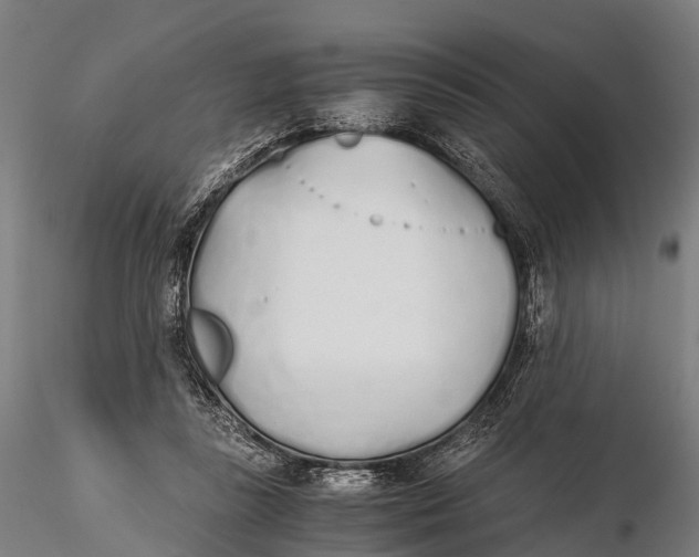 X0000115620355200912011620