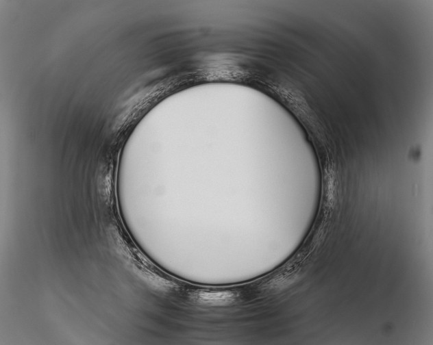 X0000115620357200912011620