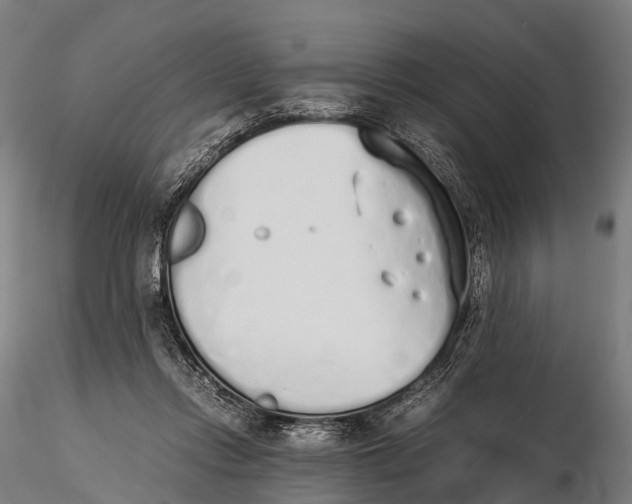 X0000115620358200912011620