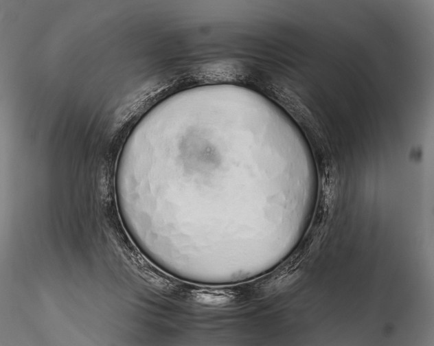 X0000115620359200912011620