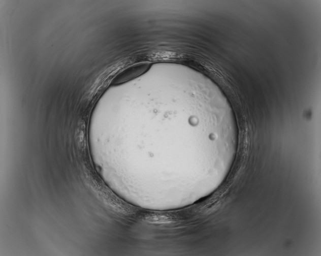 X0000115620361200912011620