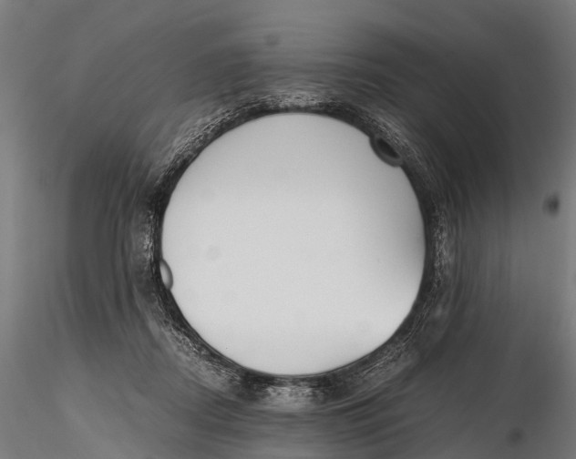 X0000115620362200912011620