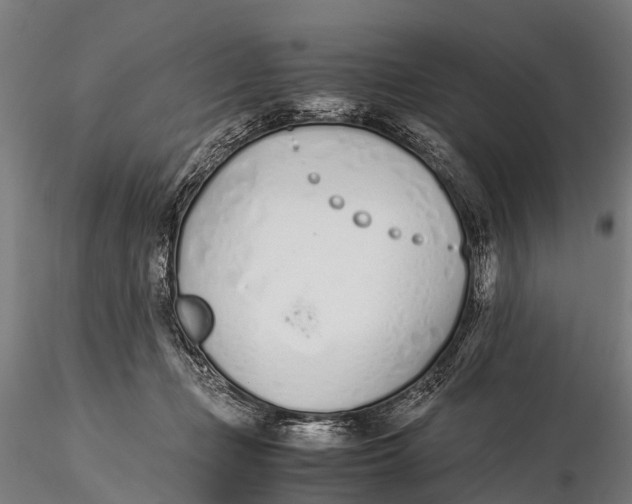 X0000115620365200912011620