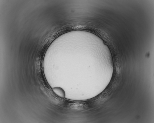 X0000115620366200912011620