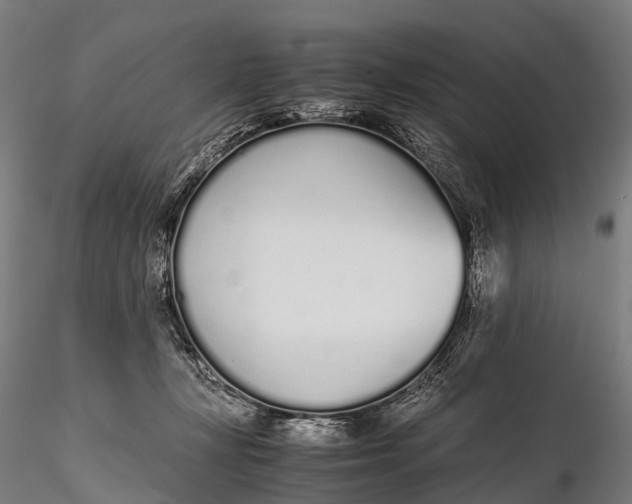 X0000115620367200912011620