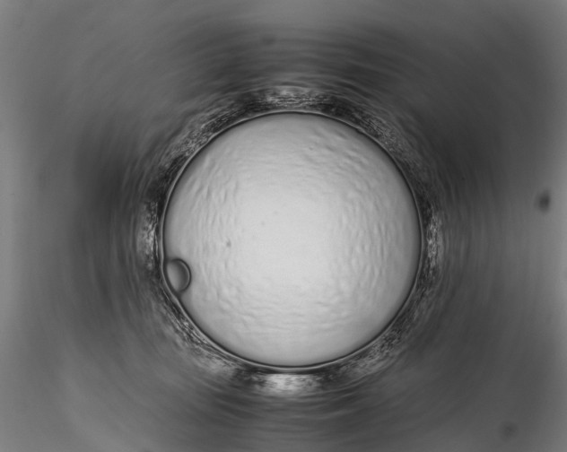 X0000115620371200912011620