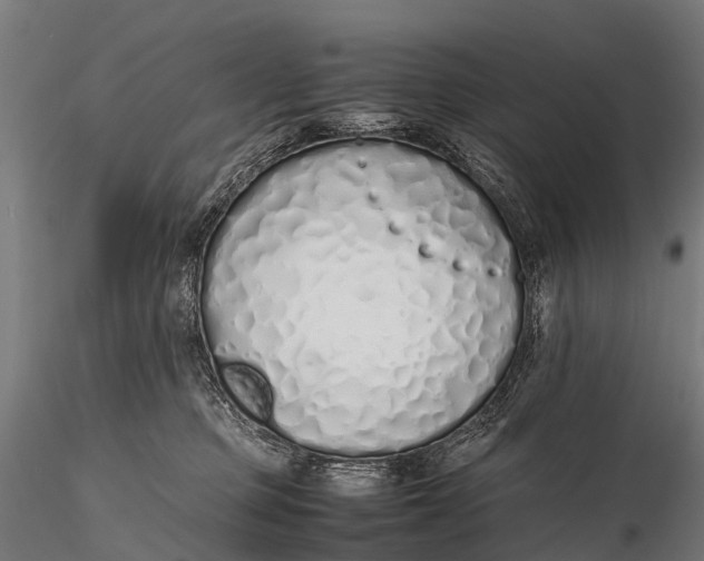 X0000115620373200912011620