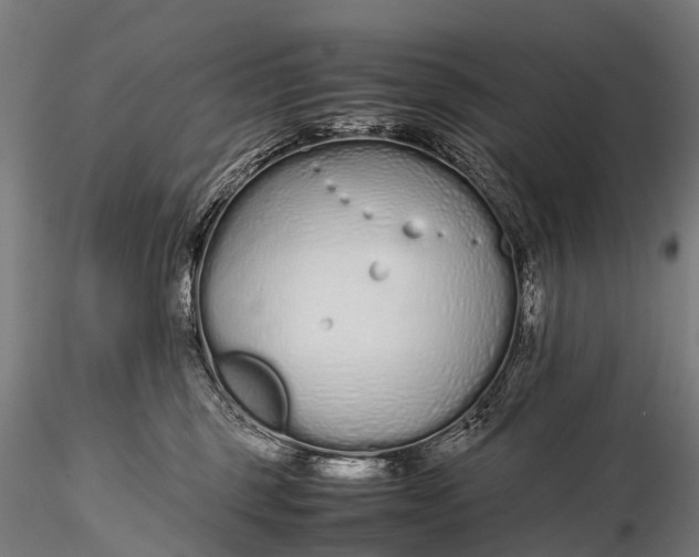 X0000115620375200912011620