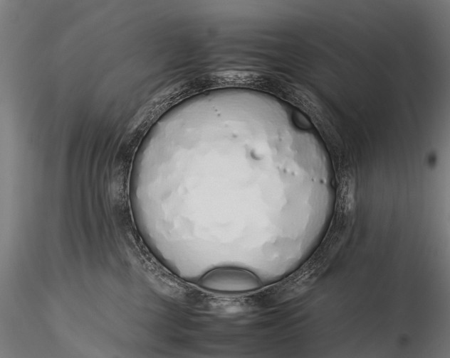 X0000115620377200912011620