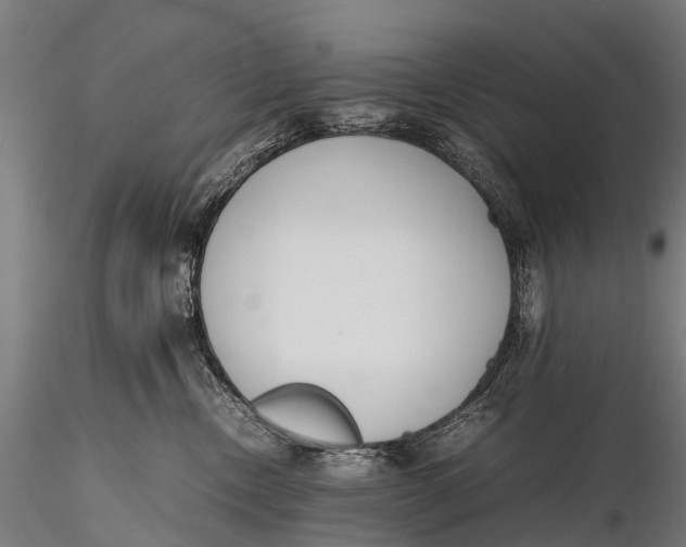 X0000115620378200912011620