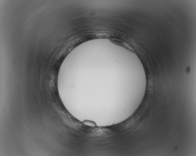 X0000115620379200912011620