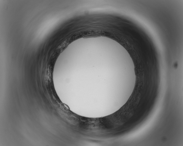 X0000115620382200912011620