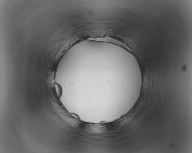 X0000115620383200912011620