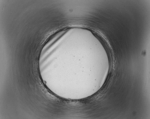 X0000115620385200912011620