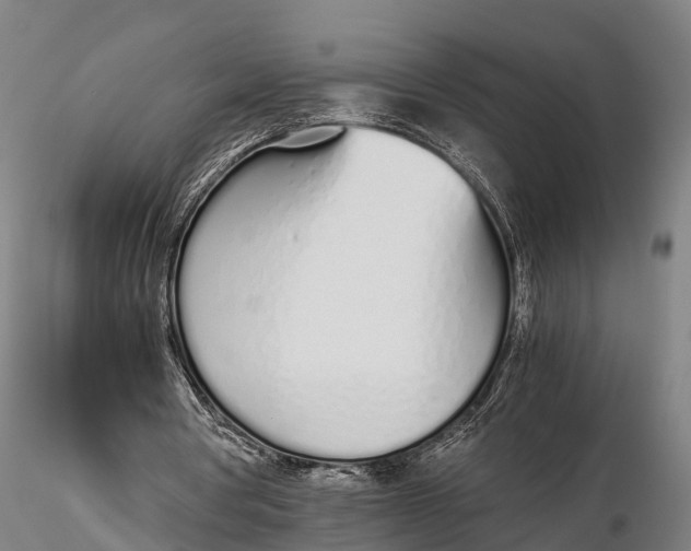 X0000115620386200912011620