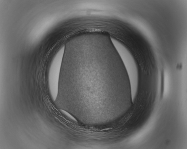 X0000115620387200912011619