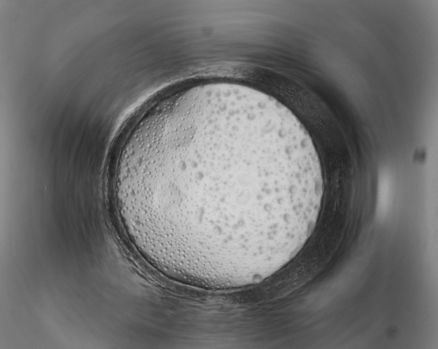 X0000115620388200912011619